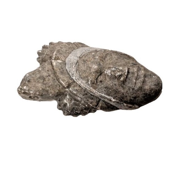 Face And Turtle As One-Carving Signed Dowhandree Sculpture - Picture 5 of 7